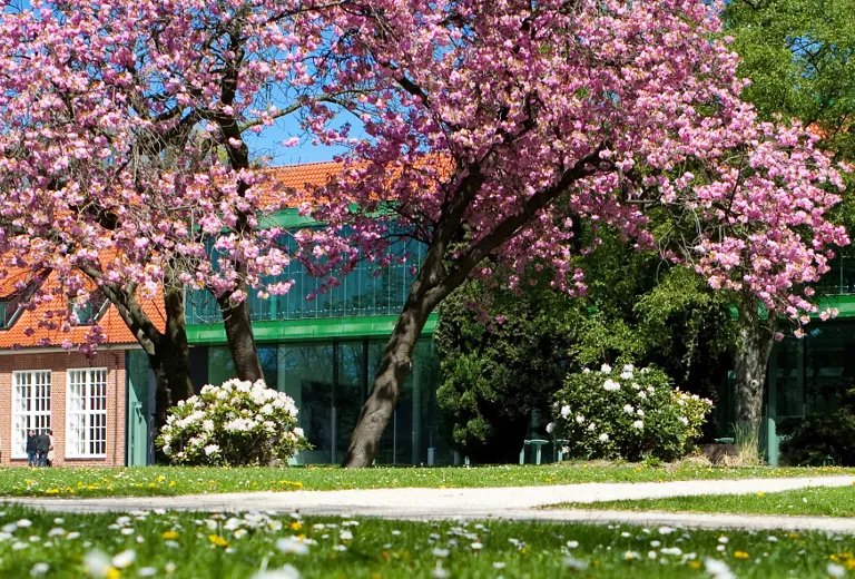 spring