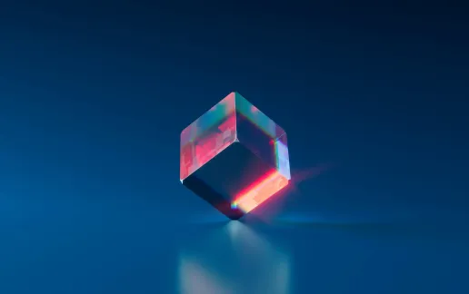 Incubator Program