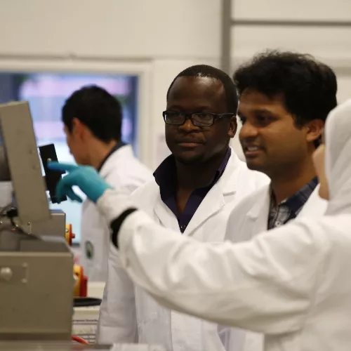 mccb research